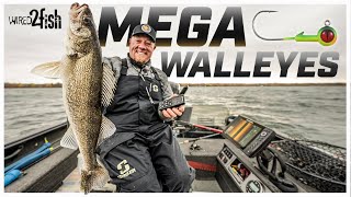 Uncover More Walleyes With Sonar Technology: Tips For Success