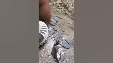 Perfect  Split Jurassic Fossil Crack Open Ammonite Nr.21
