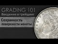 СОХРАННОСТЬ МОНЕТЫ: Введение в Слабирование Монет на примере Долларов Моргана Mint State