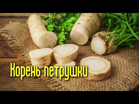 Пастернак и корневая петрушка как различить