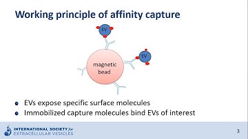 Affinity capture of extracellular vesicles