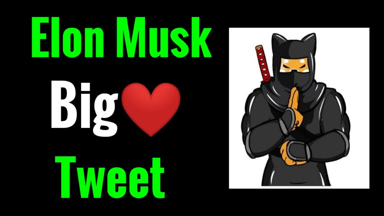 Shibnobi | Shinja | Shinobi Coin | Shinja price prediction | Shinobi coin news today