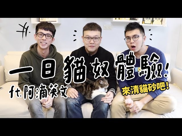 【黃阿瑪的後宮生活】一日貓奴體驗！ft.阿滴英文