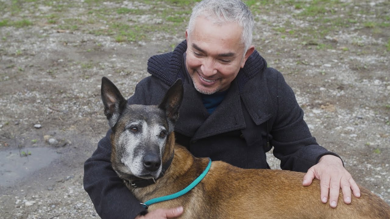 Cesar Millan Net Worth 2020 Age Height Weight Wife Kids