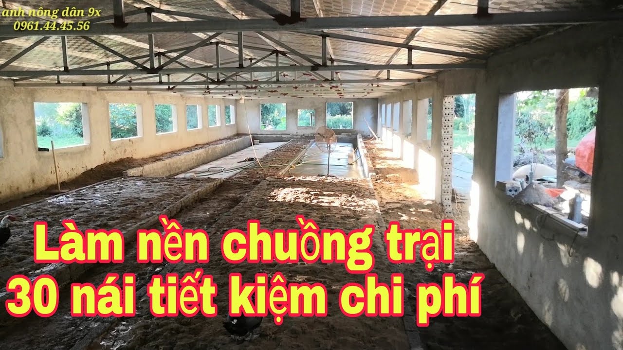 niyay nc 30  2022 New  Cách làm nền chuồng trại 30 nái / trại kín 250m2