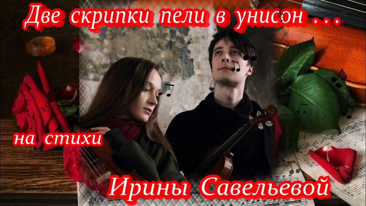 Скрипач. В таверне пела скрипка. Скрипач в таверне. День скрипки. Гиф скрипач в таверне.