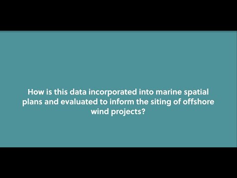 How is Geo-data used in marine spatial plans to inform the siting of offshore wind projects?