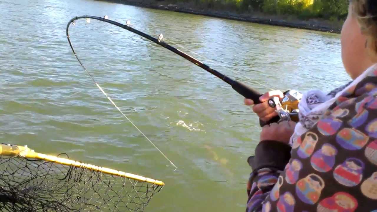 Salmon Fishing Sacramento River - YouTube