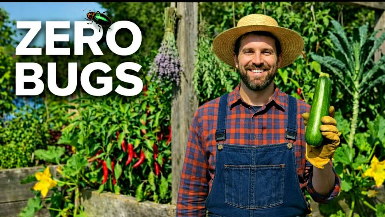 The Amish Secret to a Pest-Free Garden (No Chemicals!/pest control)