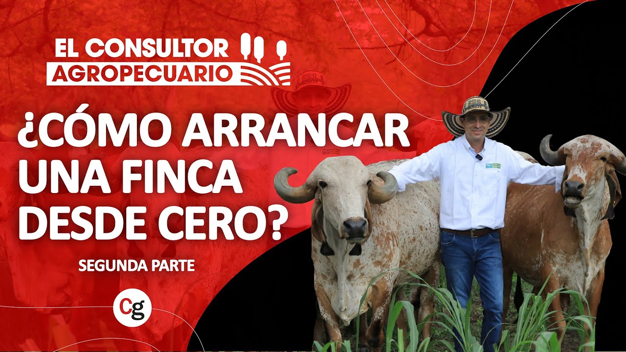 #ElConsultorAgropecuario - ¿Cómo arrancar una finca desde cero? - Capitulo 1 - Parte 2