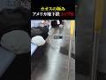 カオスの極みアメリカ地下鉄 トップ8