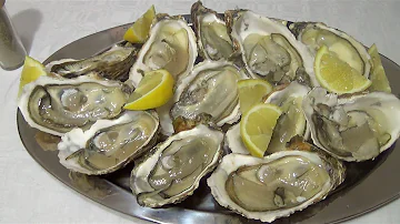 ¿Qué se come las ostras en el océano?