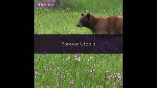 Forever Utopia (Preview)  #music