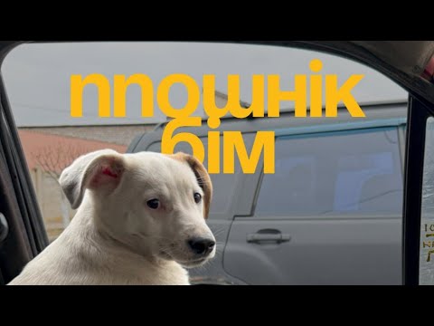ППОшнік Бім