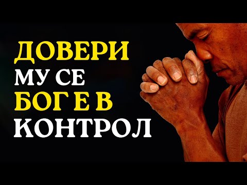 Видео: 5 неща, които да доведат до първото ви посещение на кученцето на ветеринаря