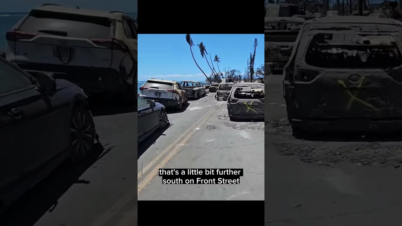 More Examples of Blue Things Not Burning in Maui