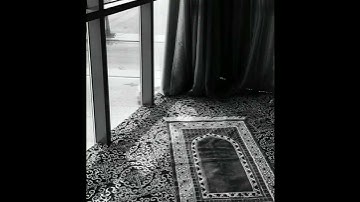 سورة القارعة.الشيخ عبد الرحمن العوسى
