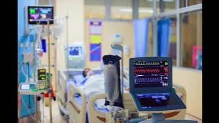Hospital background Intensive Care Unit sound (1 Hour)