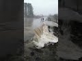 Наводнение 01.05.2021, Санькино, размывает дороги, перекрыт проезд.