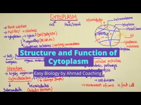 Structure and Function of Cytoplasm | Biology