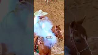 The surprising reason why cowboys NEVER burn their hands!