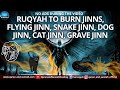 ULTIMATE AL QURAN RUQYAH TO BURN JINNS FLYING JINN SNAKE JINN DOG JINN CAT JINN GRAVE JINN ULTIMATE AL QURAN RUQYAH TO BURN JINNS FLYING JINN SNAKE JINN DOG JINN CAT JINN GRAVE JINN