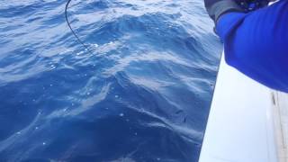 GT popping & jigging Andamans 20150128-08