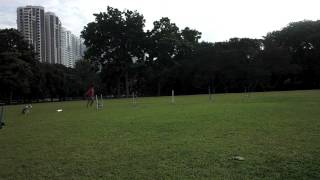 L4 DIAGONAL GRID Spacing 5.5 MOTION