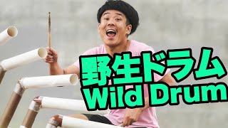 Wild Drum Live