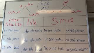 كلمة صغير liten. lita. lite. lille. små