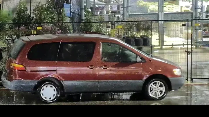 Surveillance Video Of Man Stealing Plants From Dallas Lowe's