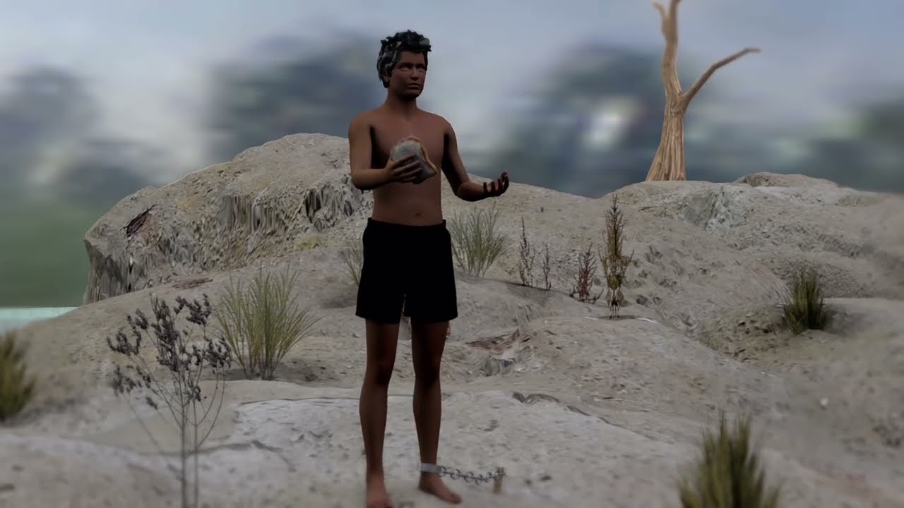 Decommissioned Forests - Bread to the Ducks