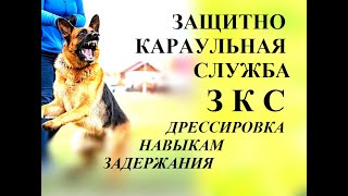г.Набережные Челны.Дрессировка собак.ЗКС.Набережные г.Набережные Челны.Дрессировка собак.ЗКС.Набережные