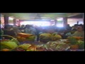 車城海口跨海宮湄洲媽祖降駕 靈鳥篇 車城海口跨海宮湄洲媽祖降駕 靈鳥篇