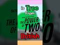 is Tree From TPOT British?