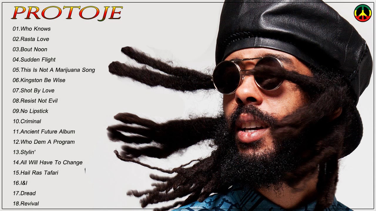 美品！人気レゲエ！protoje / take control Protoje - Take Control {The Message Riddim} FEB 2011 (Don