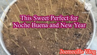 This Sweet Perfect for this Holiday Season #sweetstick #dessert  #sweet #yummy #satisfying #viral