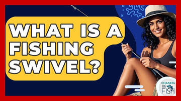 What Is A Fishing Swivel? - Chasing Big Fish