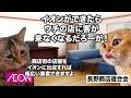 【イオン 長野市】商店街を守るためイオン建設を拒んだ長野市の末路 #猫マニ #猫ミーム