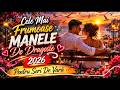 💞 Cele Mai Frumoase Manele De Dragoste 2026 🌅 Pentru Seri De Vară