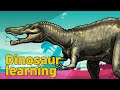 Dinosaur Suchomimus Collection | What is this dinosaur? | carnivorous dinosaur Suchomimus | 공룡 수코미무스