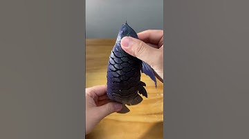 3D-printed arowana！