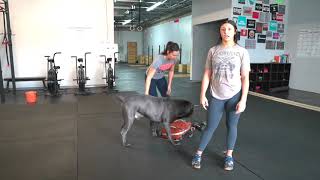 WOD 031820   HD 720p