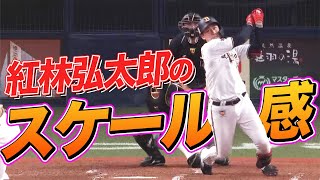 【恐るべき19歳】紅林弘太郎 スケール感が半端ない『豪快先制ソロHR』