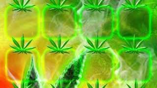 Staylit