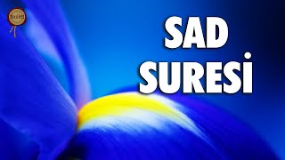 Nefis arzusuna uyma | Sad Suresi - Ali Turan