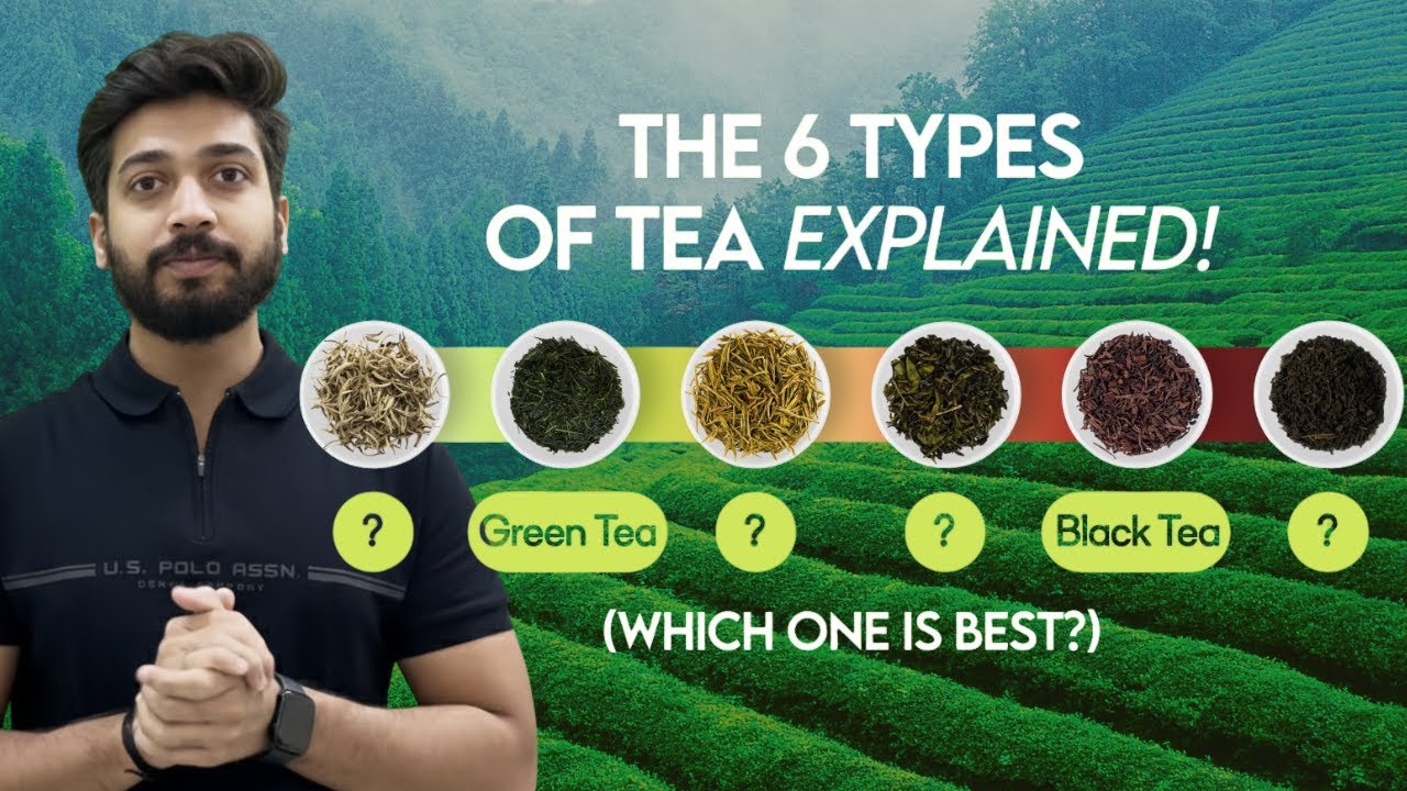 Tea & It's Types Explained In Detail🍵| Hindi | Amrutea | 