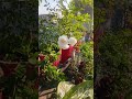 flowers #gardening #motivation