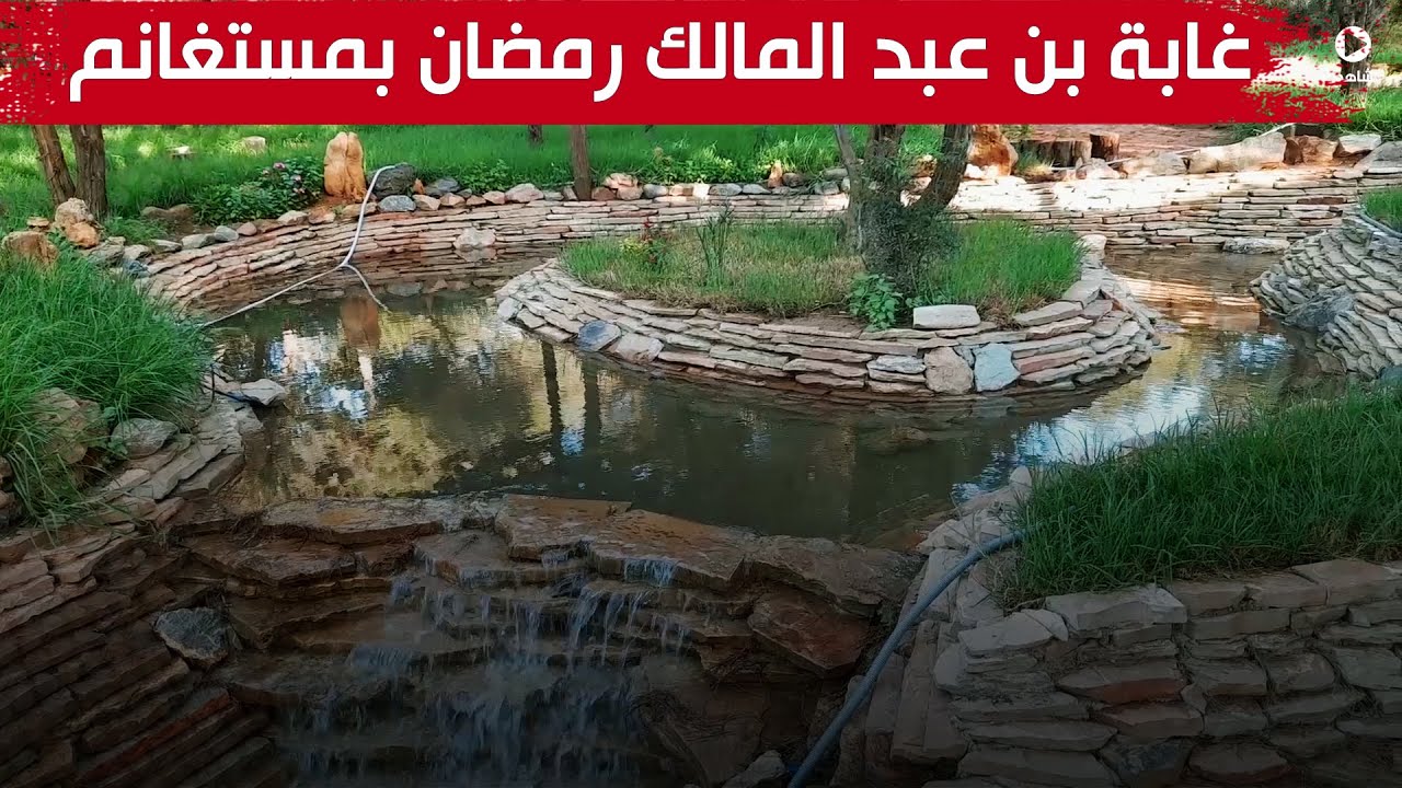 مستغانم: غابة 