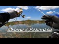 Отличный Сазан,Охота с Рогаткой,Slingshot Fishing